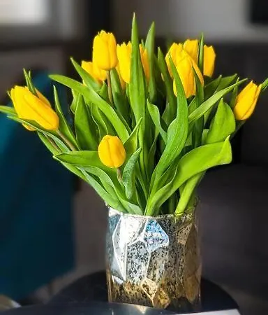 Gemuetliches In Neuwied