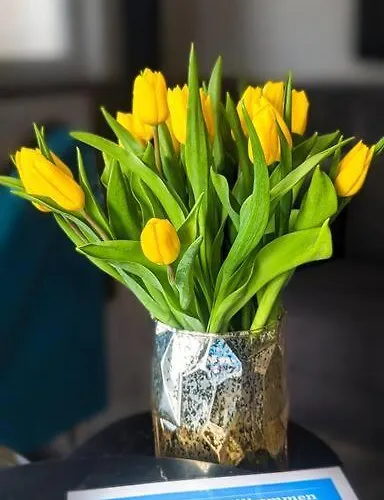 Gemütliches In Neuwied